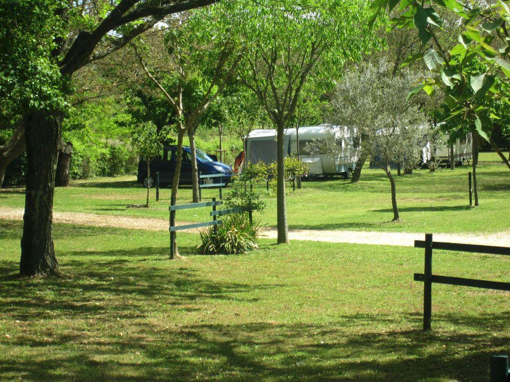 Image Camping Le Pontet