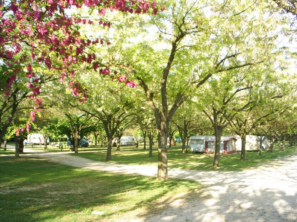 Image Camping Le Pontet