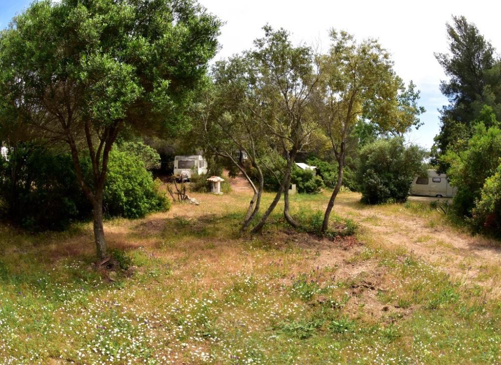 Image Camping Village Naturiste La Chiappa