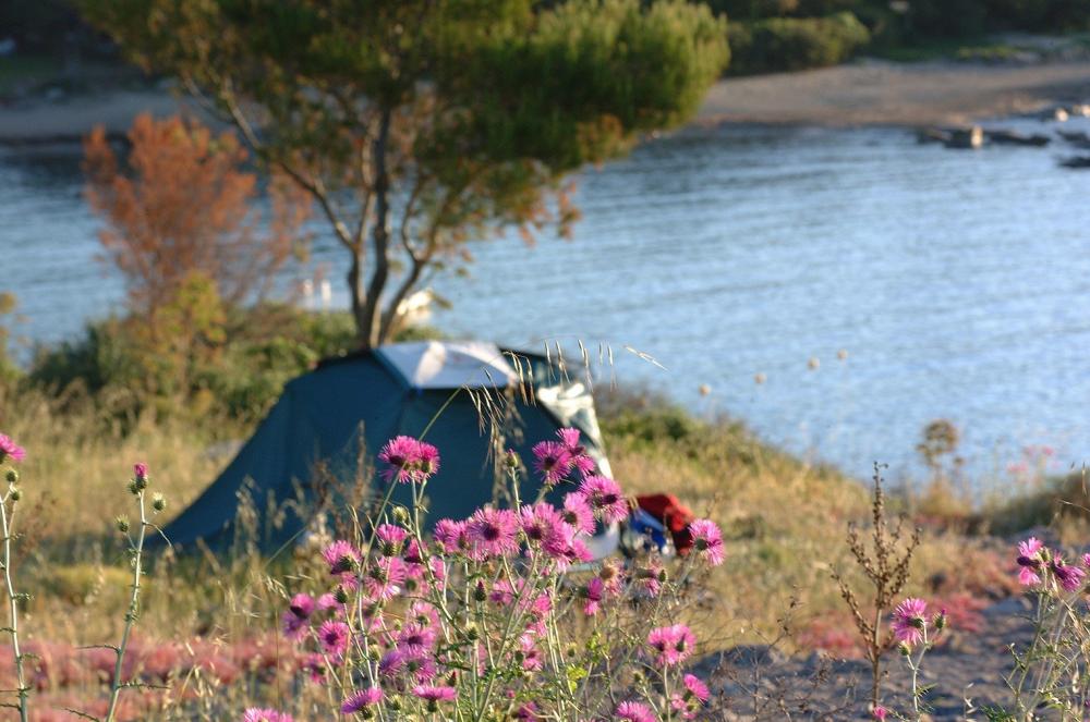 Image Camping Village Naturiste La Chiappa