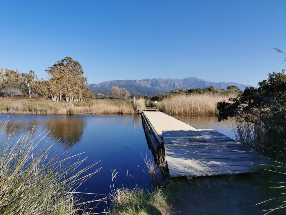 Image Camping Village Camping de L'Ostriconi