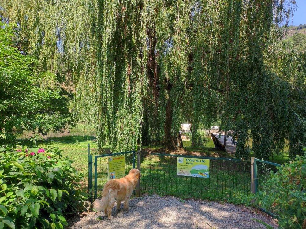 Image Camping Camping du Lac MERCUS