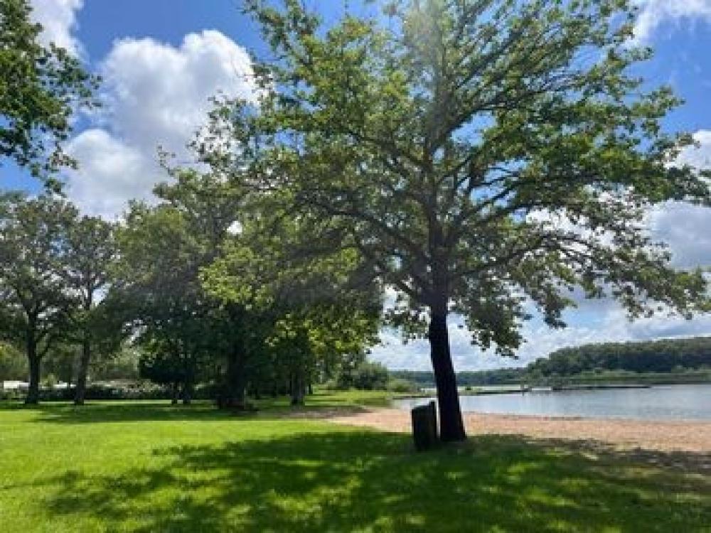 Image Camping DOMAINE DE LANGATTE