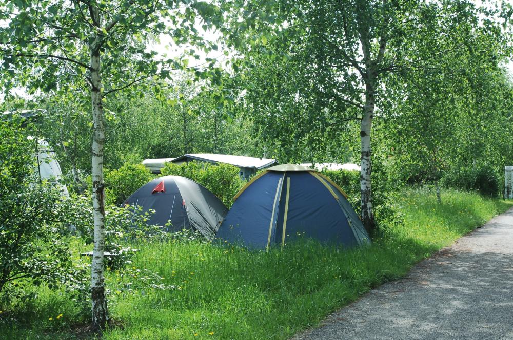 Image Camping DOMAINE DE LANGATTE