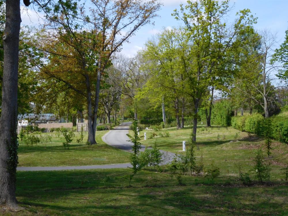 Image Camping Camping du Lac***