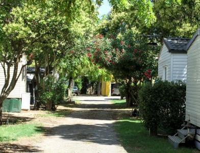 Photo Camping La Chicanette