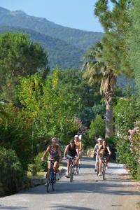 Photo Camping Les Alberes