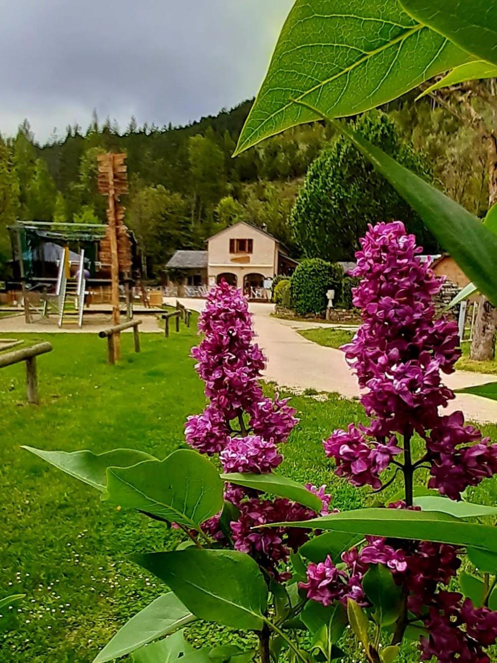 Image Camping Camping La Cascade