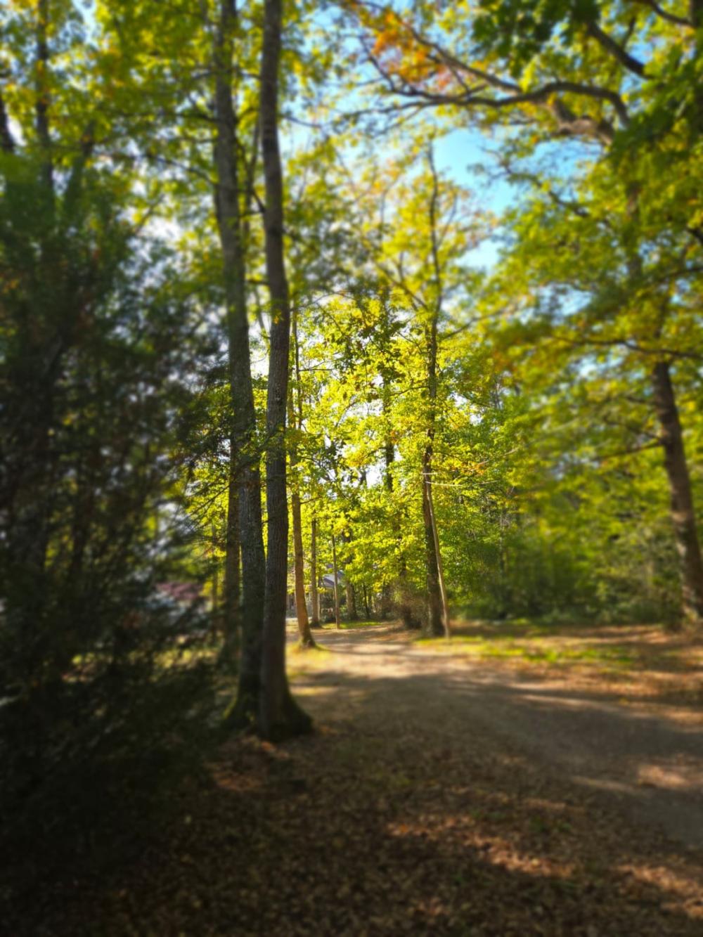 Image Camping Creuse Nature Naturiste****