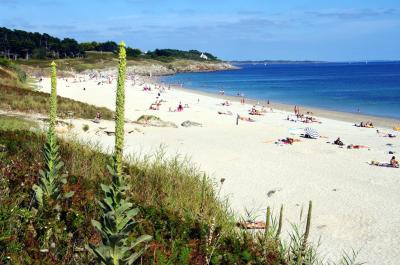 Photo Camping Du vieux Verger Ty-Noul
