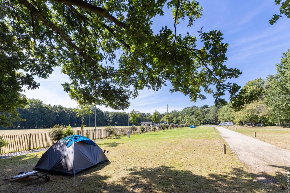 Image Camping Camping Municipal des Gayeulles