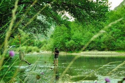Photo Camping Chasteuil Verdon Provence
