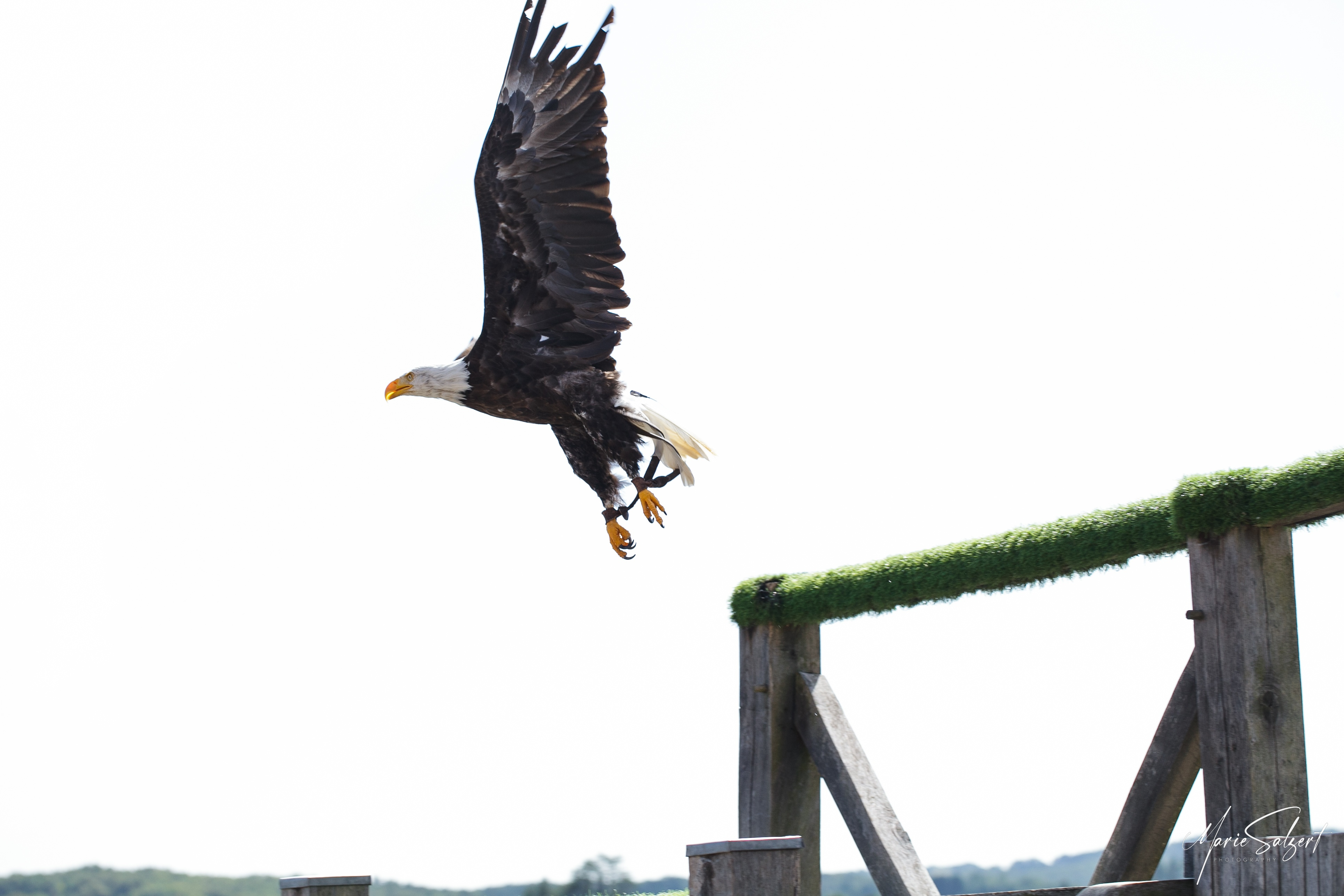 Image tourisme
