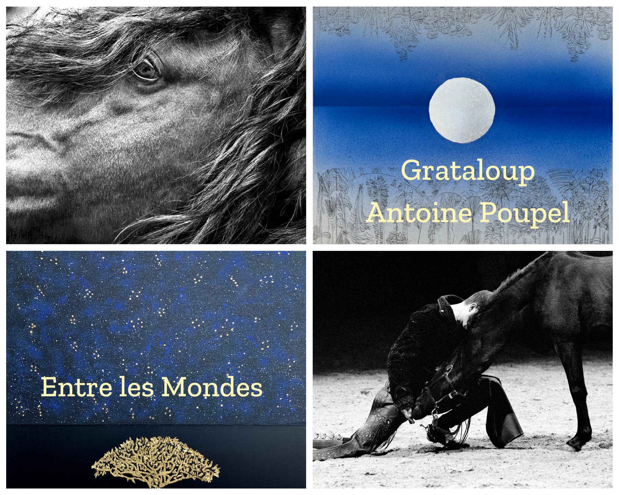 Image tourisme