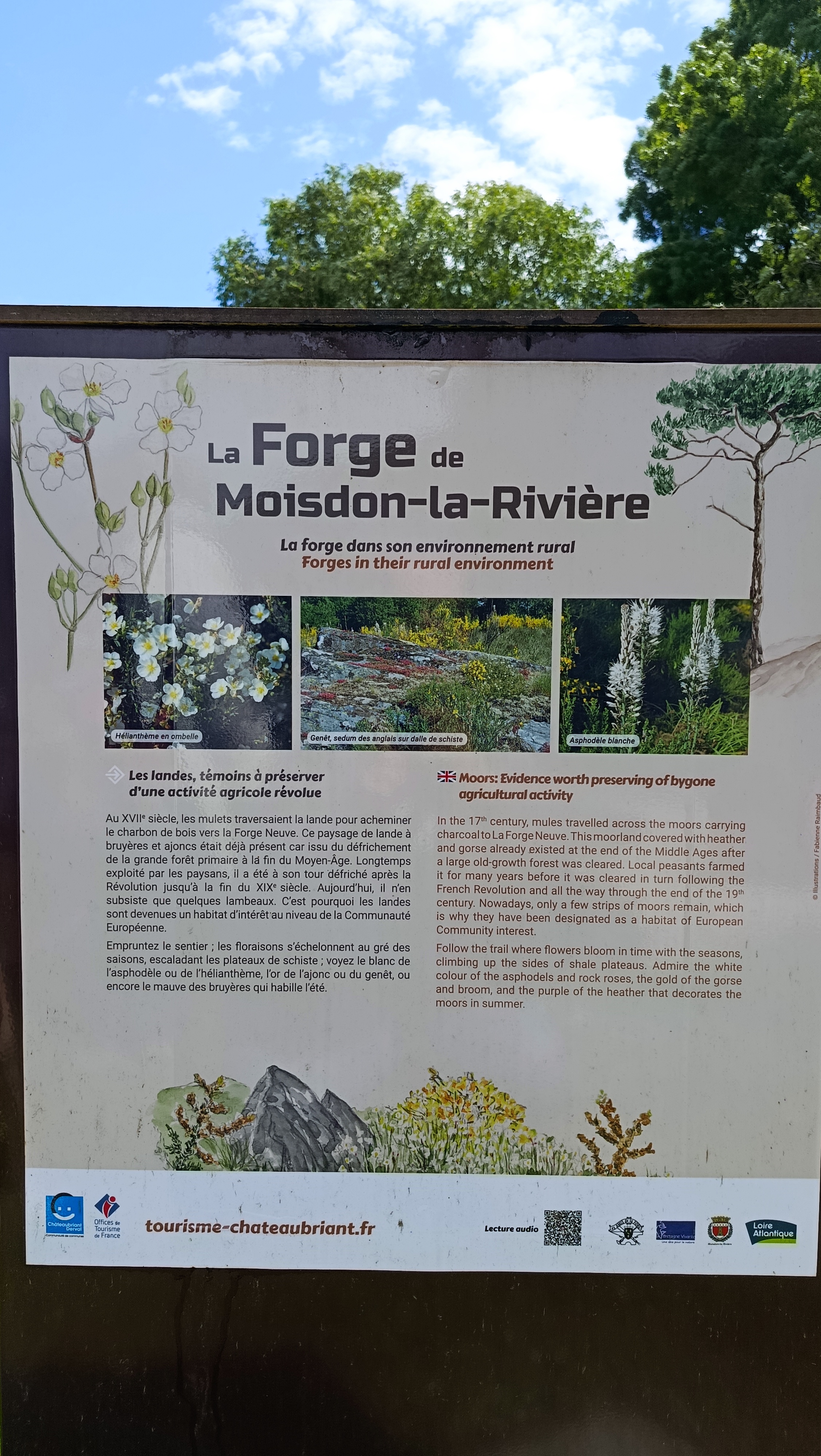 Image tourisme